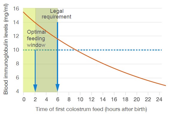 Graph showing effect of time of first colostrum feed on antibody
